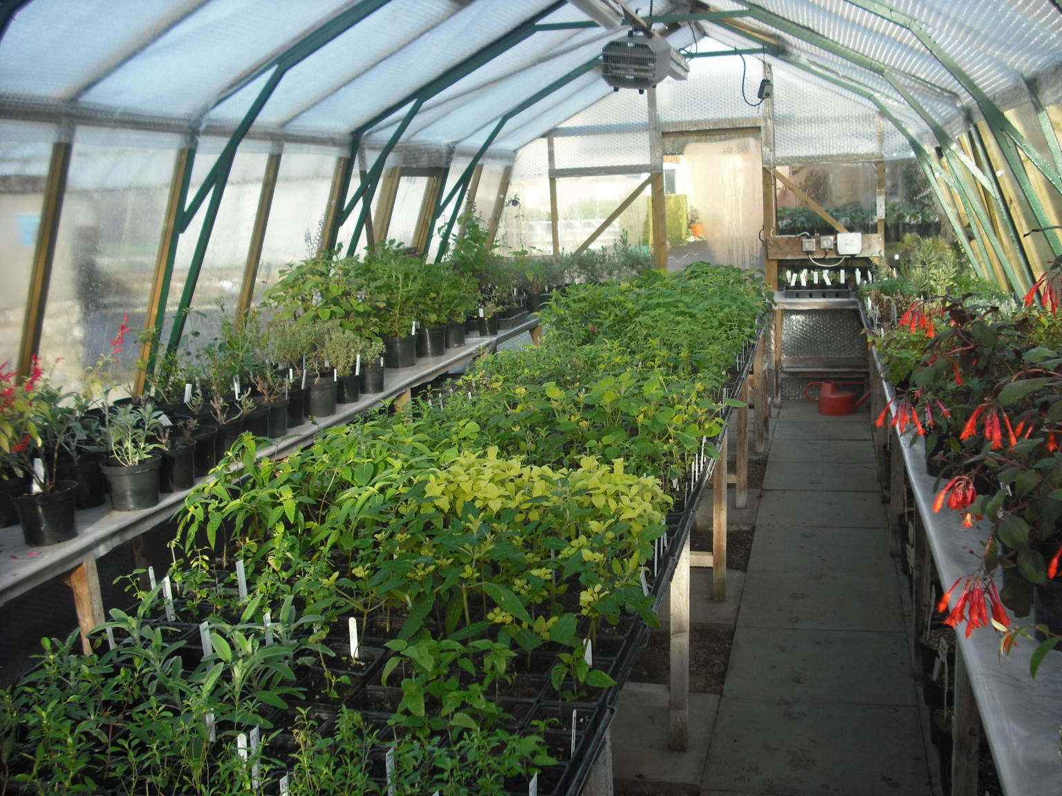 the-herb-nursery-discover-rutland