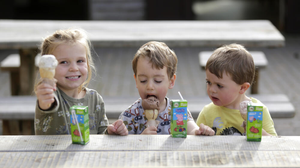 Kids at Fineshade tearoom