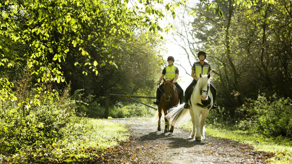 horse riding at fineshade woods