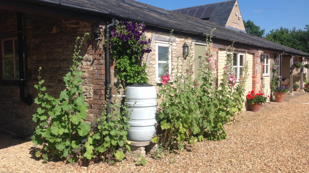 Hollyhock Cottage