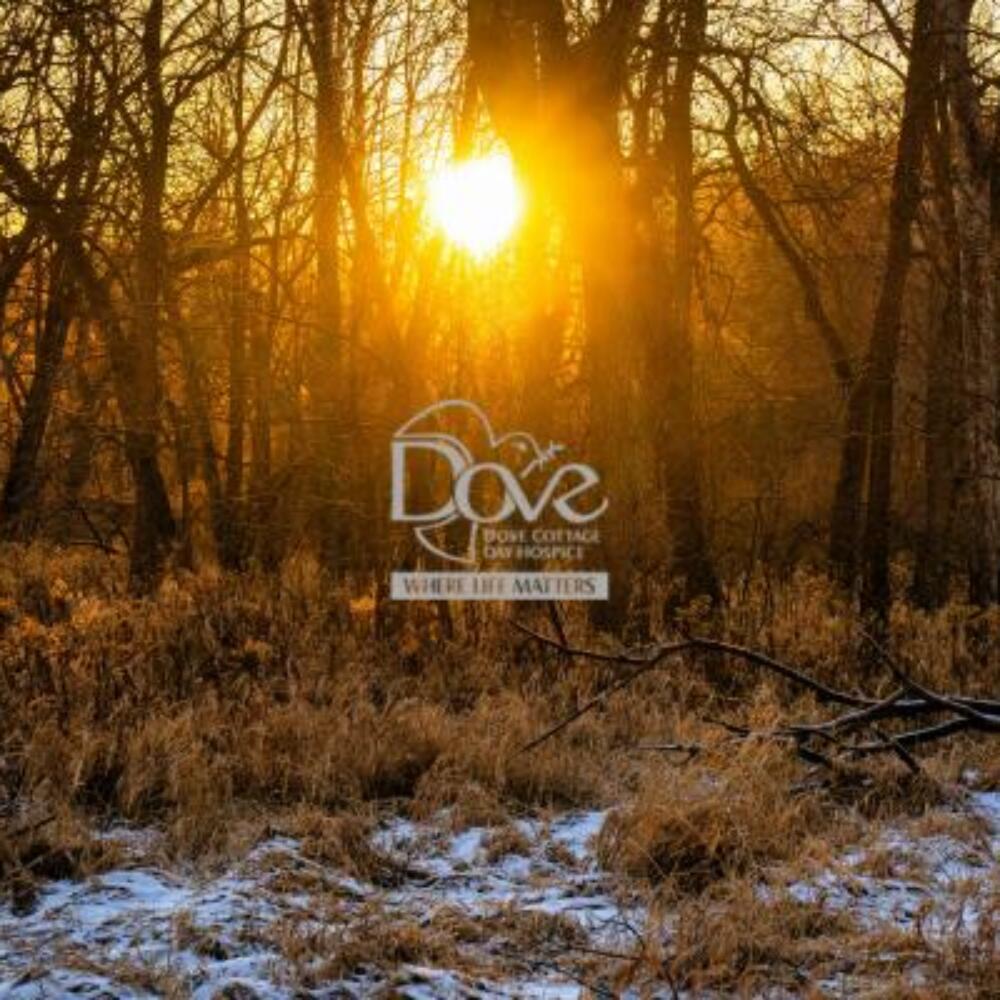 Dove Cottage Winter Walk