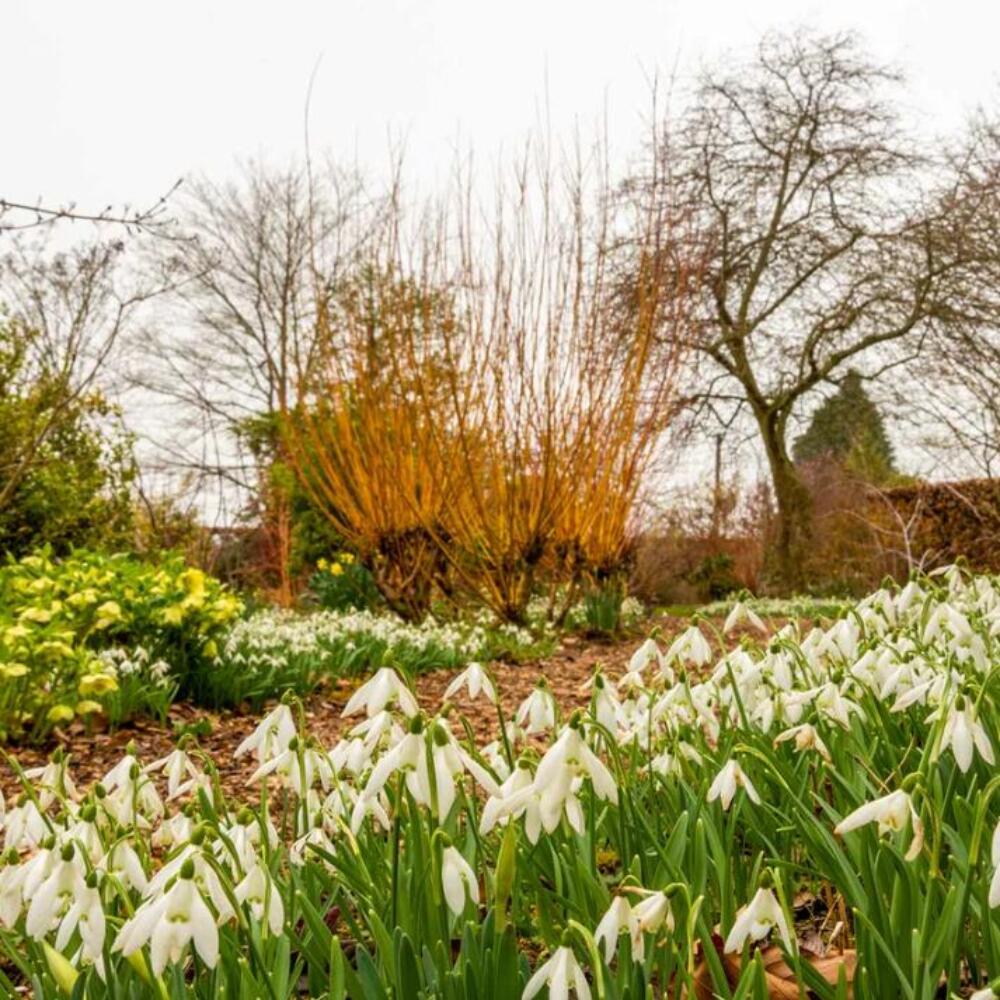 Screenshot 2025-12-12 080840