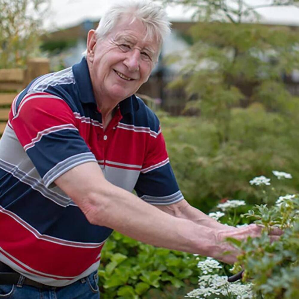 Screenshot 2025-12-12 081304