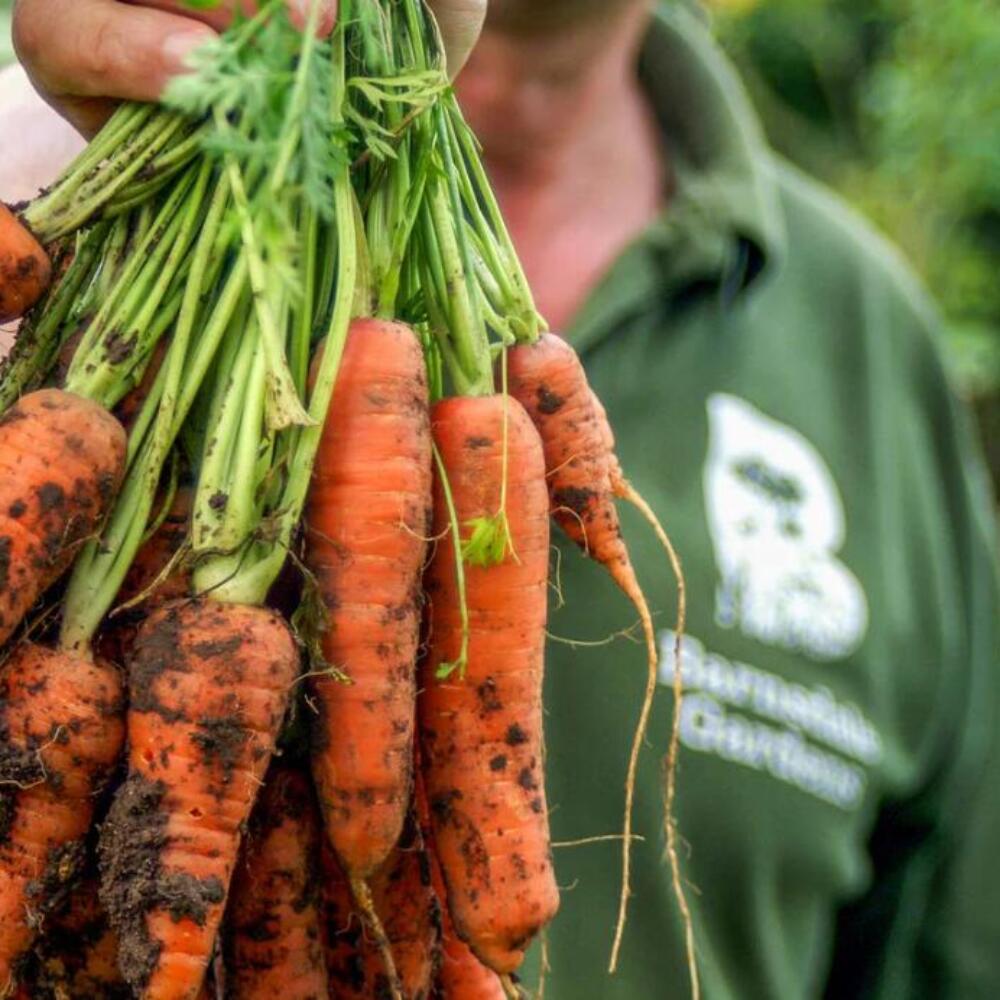 Screenshot 2025-12-12 082151