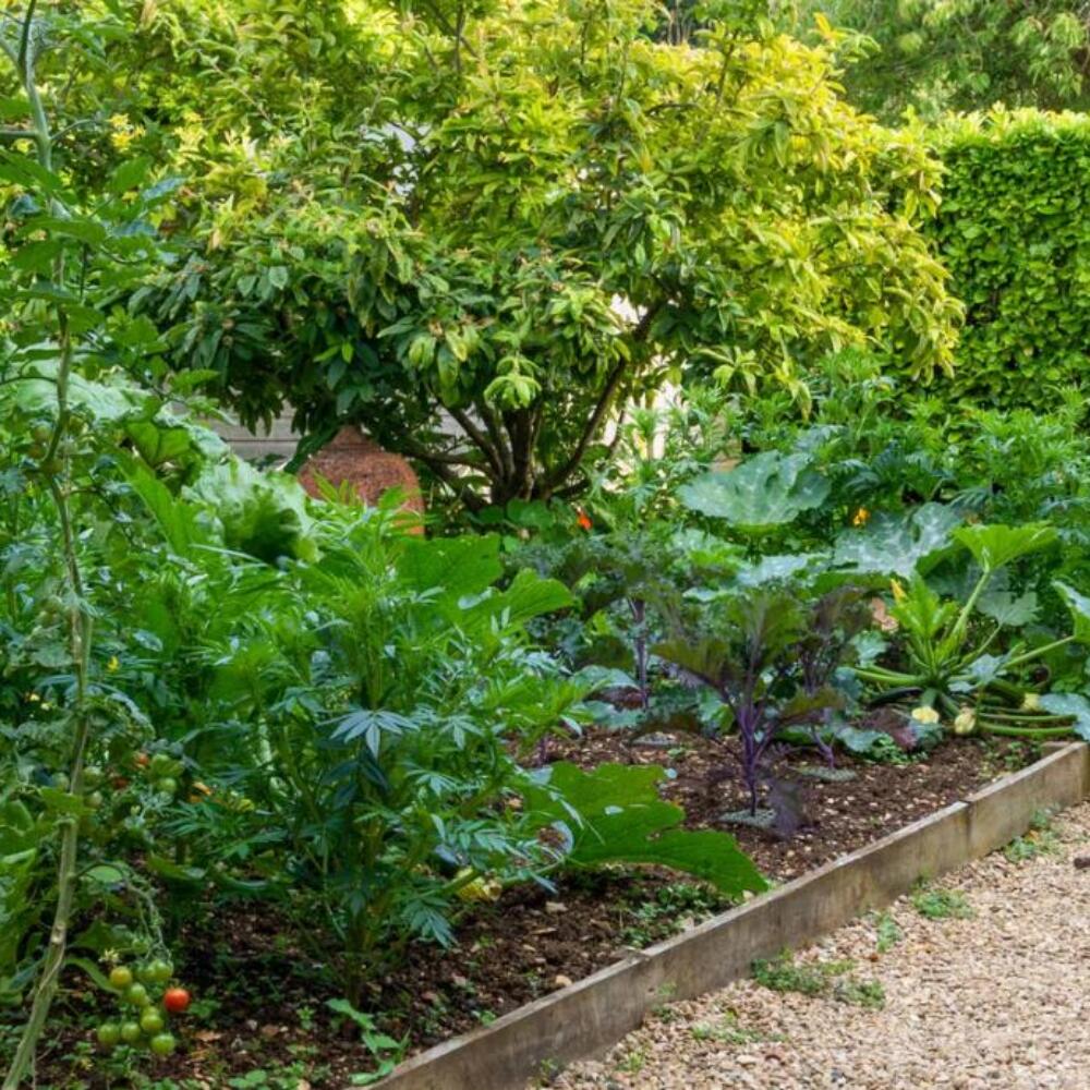 Screenshot 2025-12-12 082338