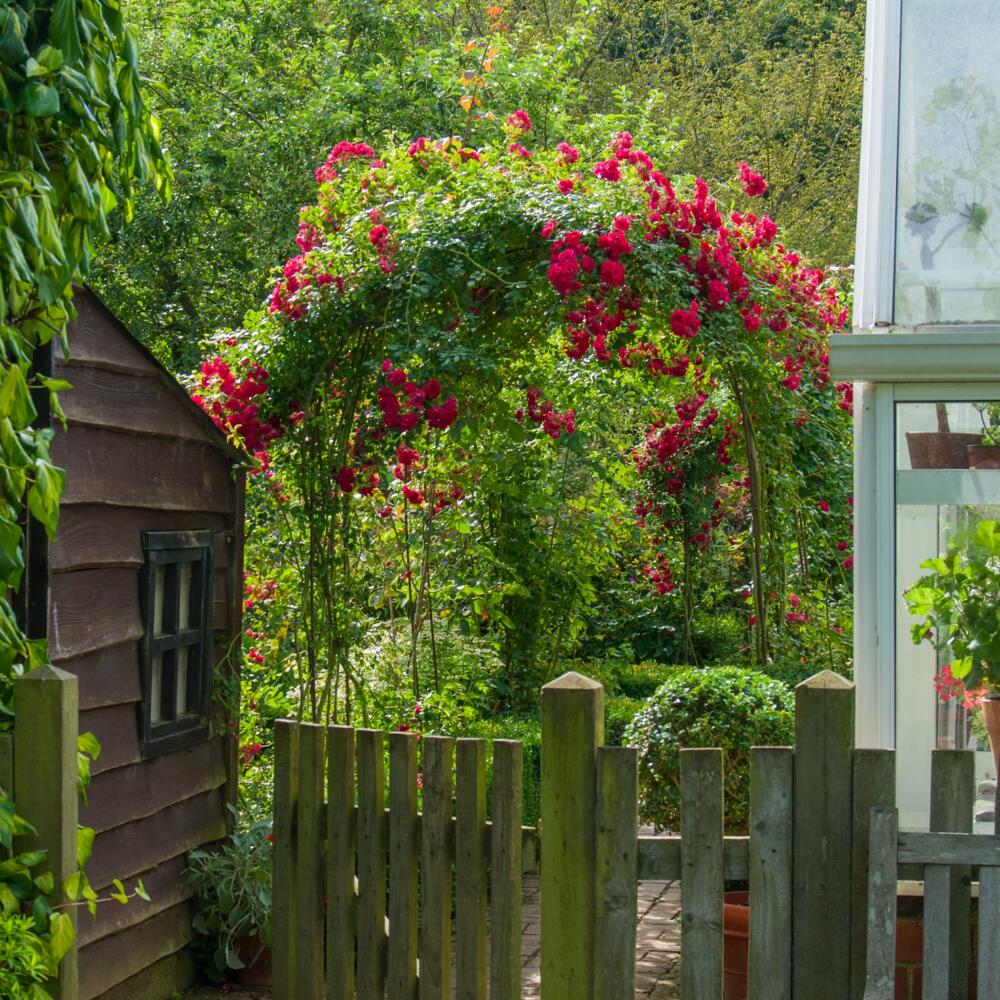 Cottage Garden at Barnsdale Gardens