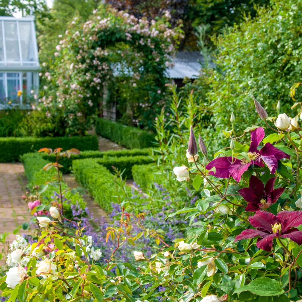 Cottage Garden at Barnsdale Gardens 190607_0122 (2) – Copy