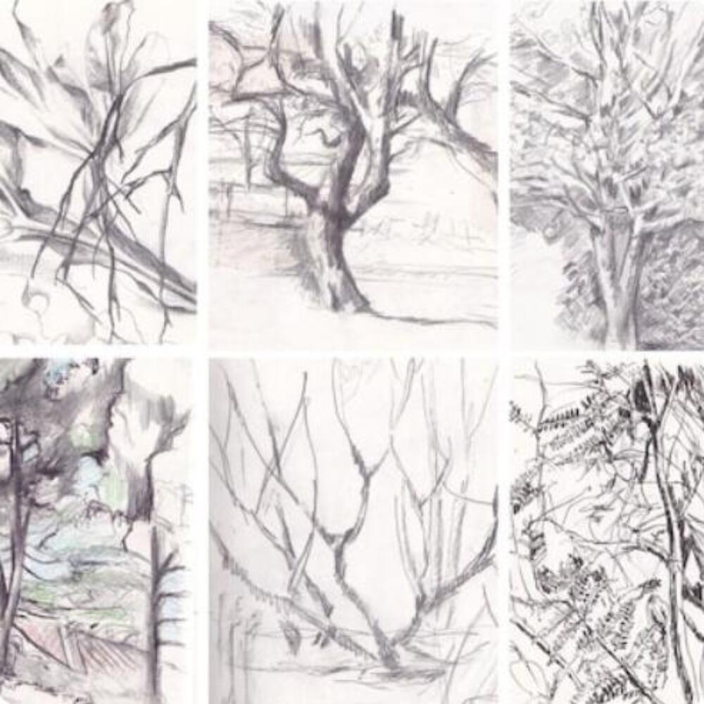 Screenshot 2026-01-20 085140