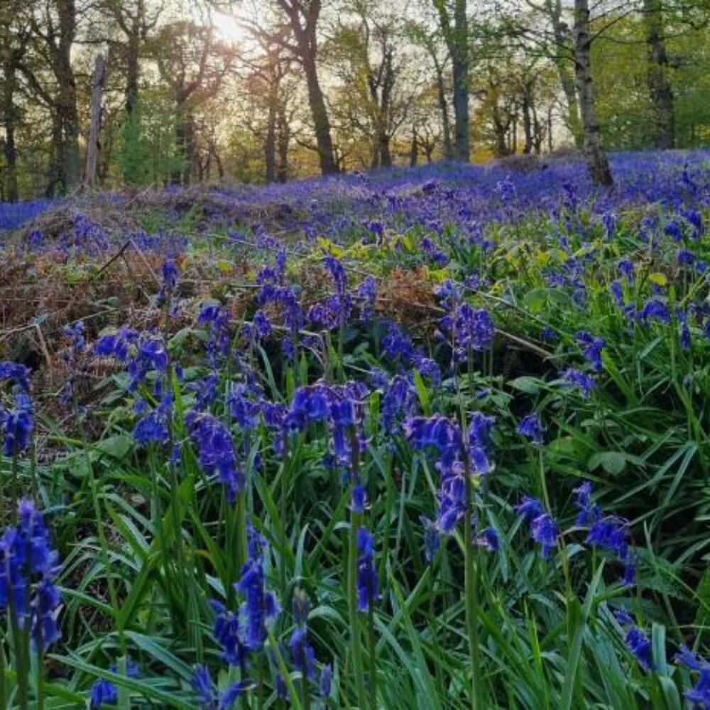 Screenshot 2026-01-20 090209