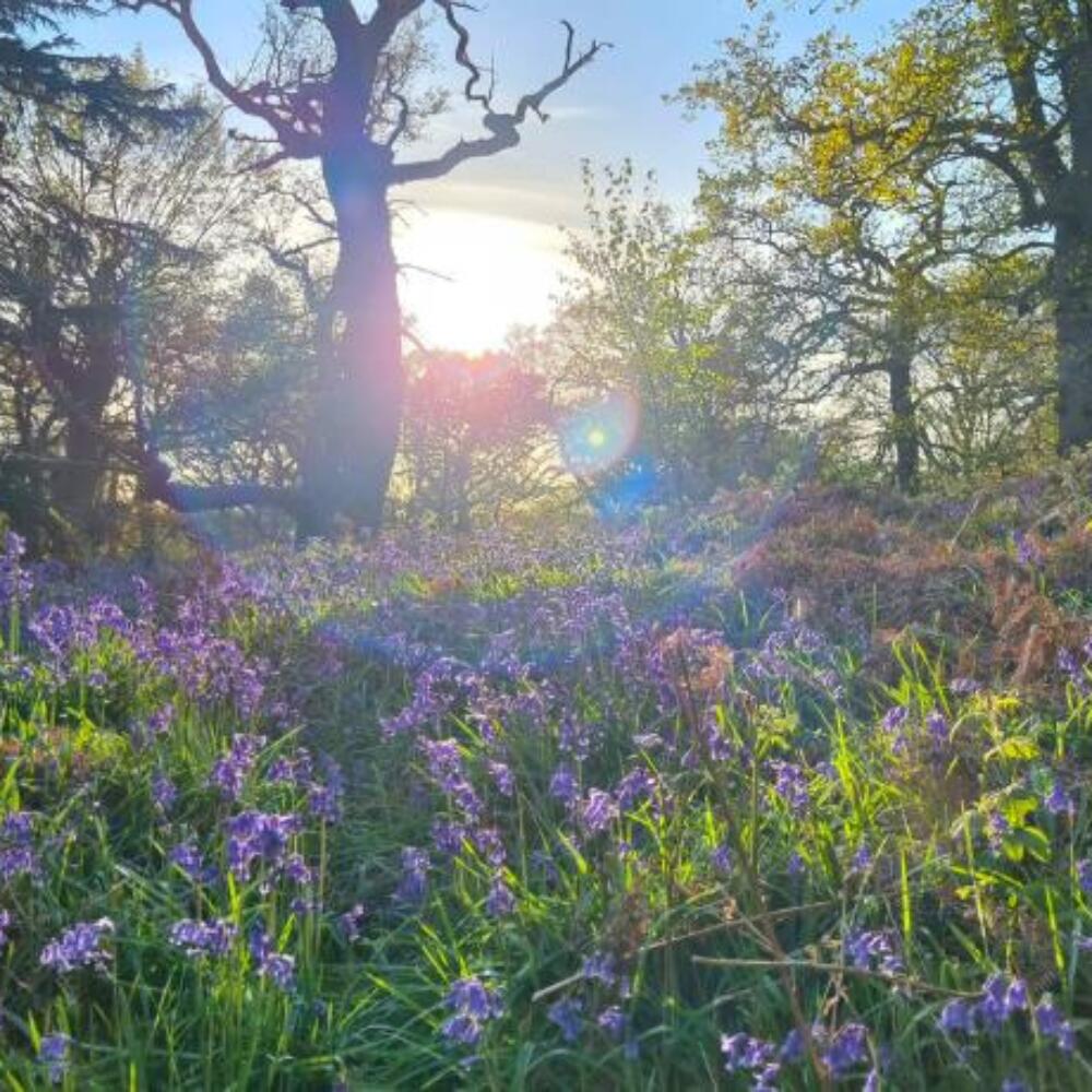 Screenshot 2026-01-20 090548