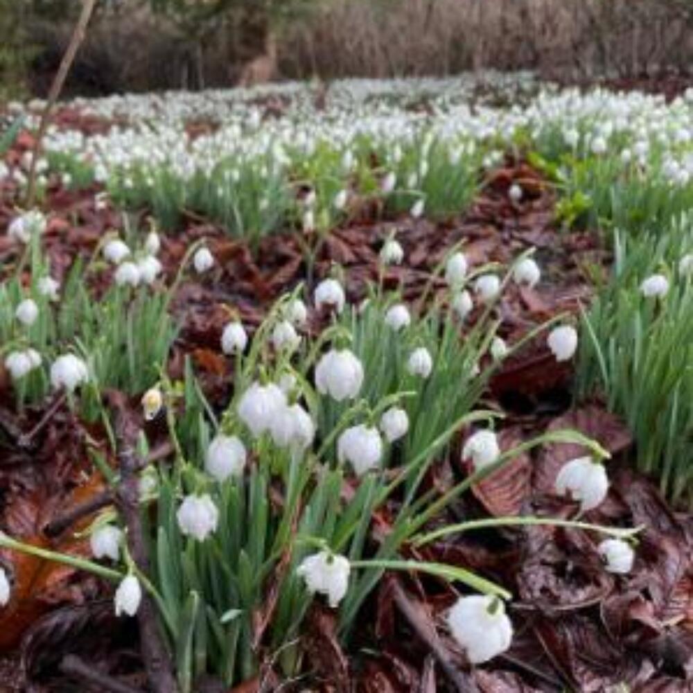 Screenshot 2026-01-22 121438