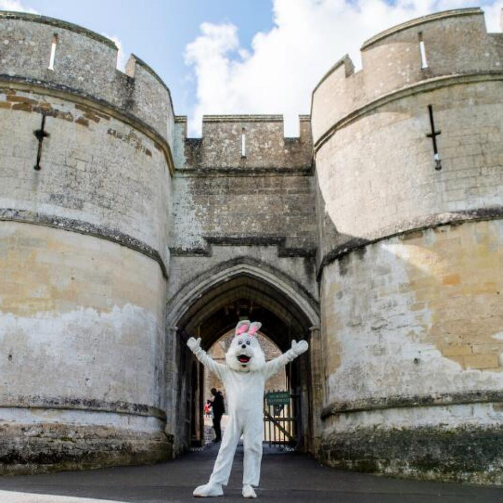 Screenshot 2026-01-22 122549