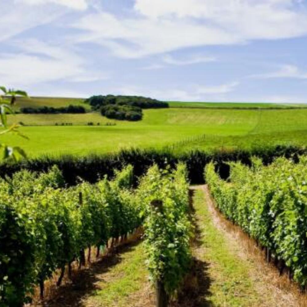 Screenshot 2026-01-27 100214