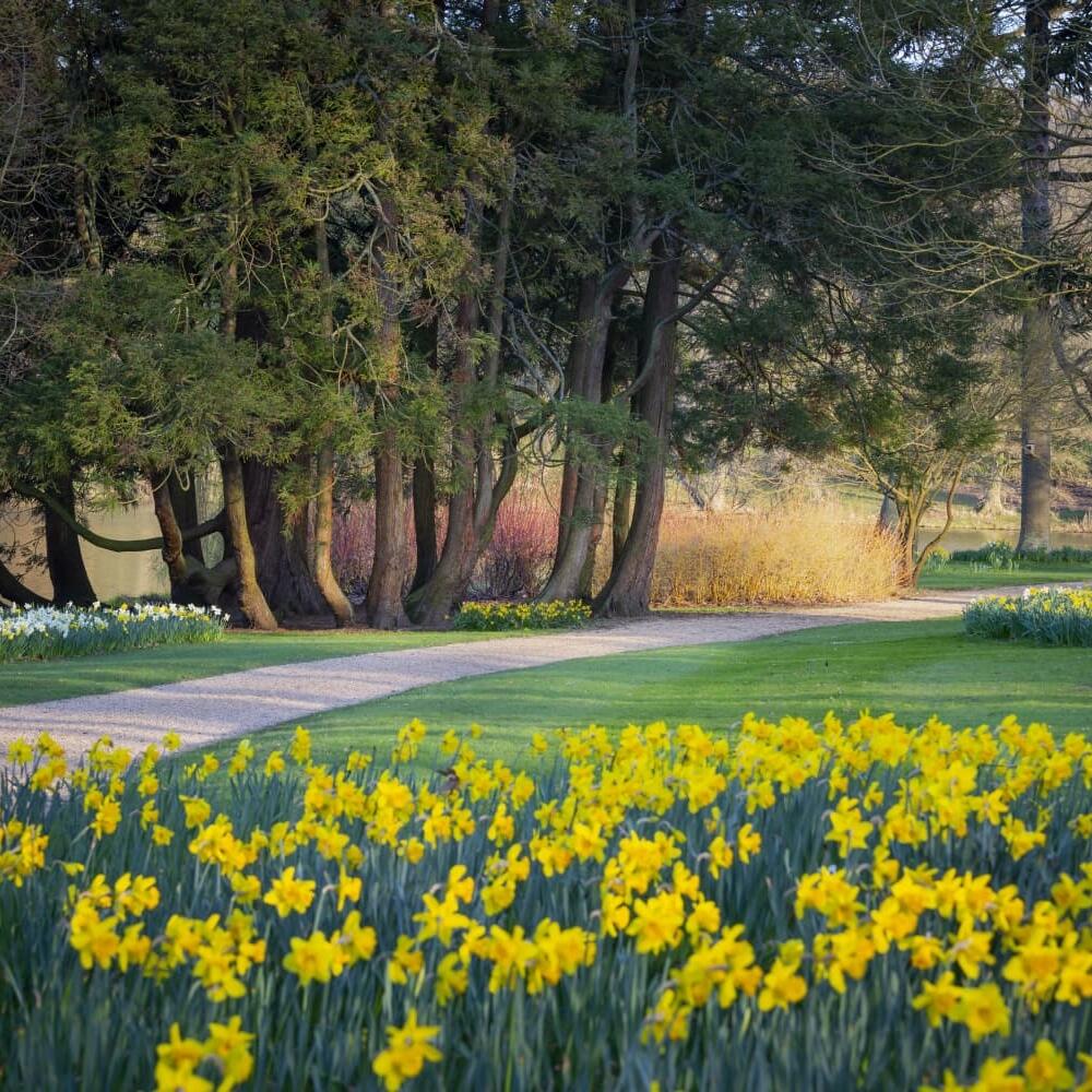 South_Gardens_Spring-1