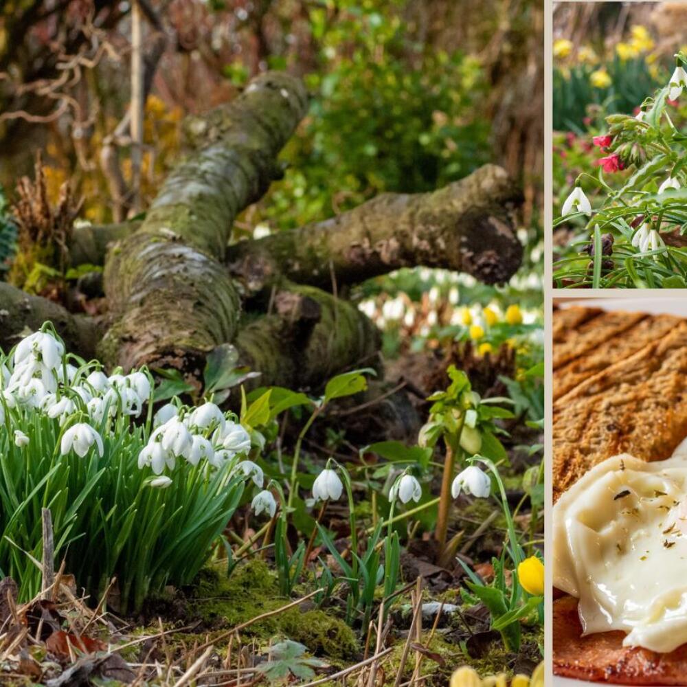 Untitled (Document) (1800 x 1800 px) (1800 x 1800 px) (3)