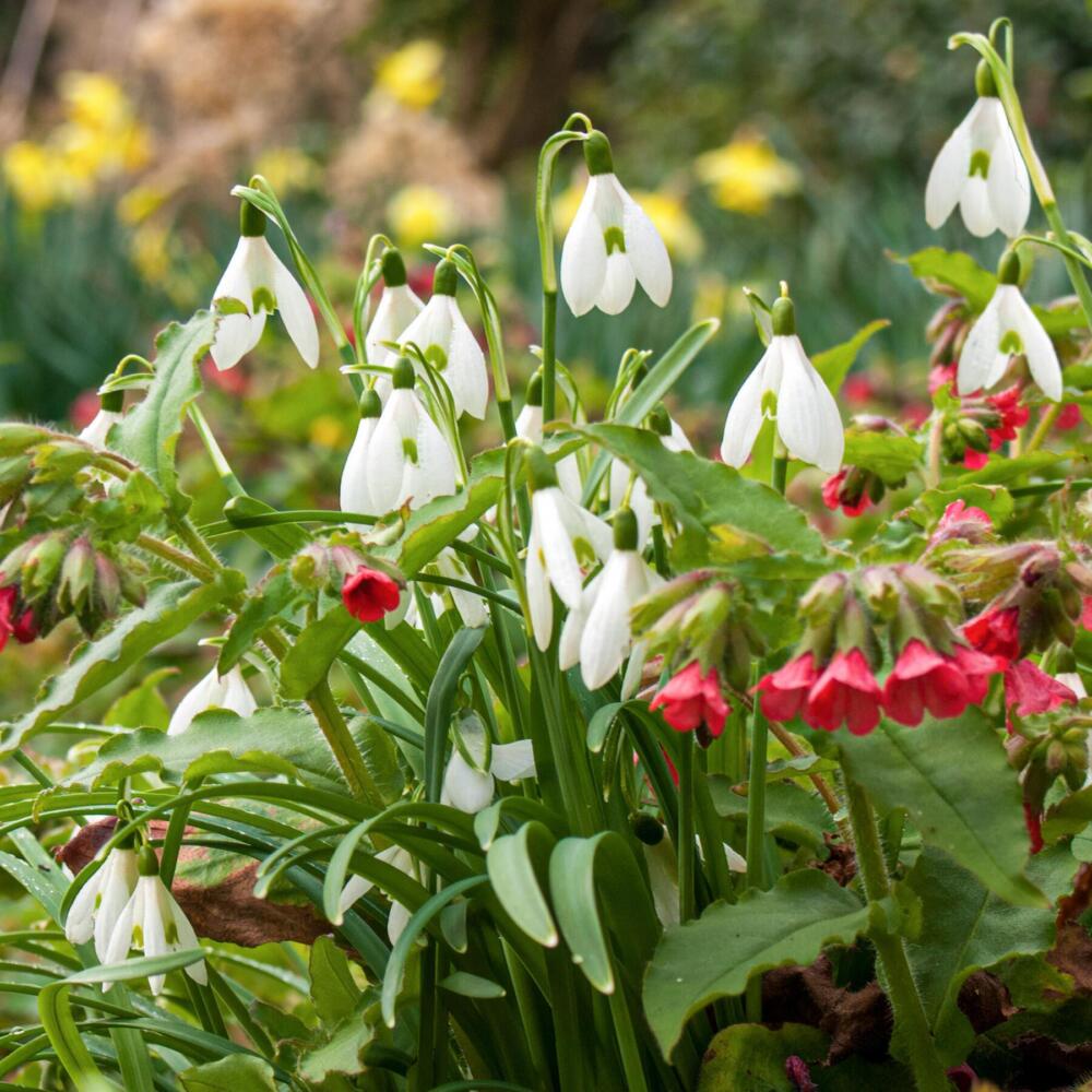 Untitled (Document) (1800 x 1800 px) (2)