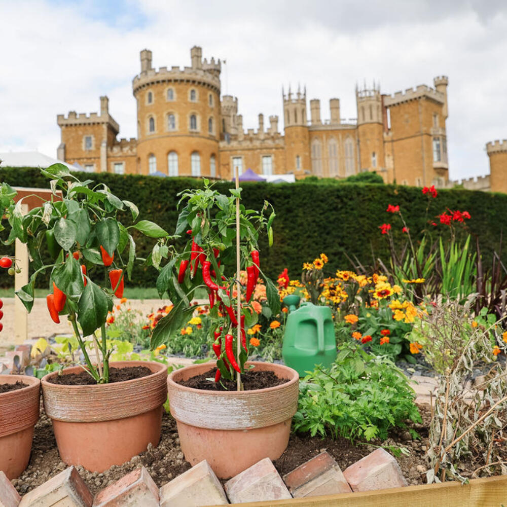 ‘s Flower and Garden Show 2025 Credit George Parrish 2
