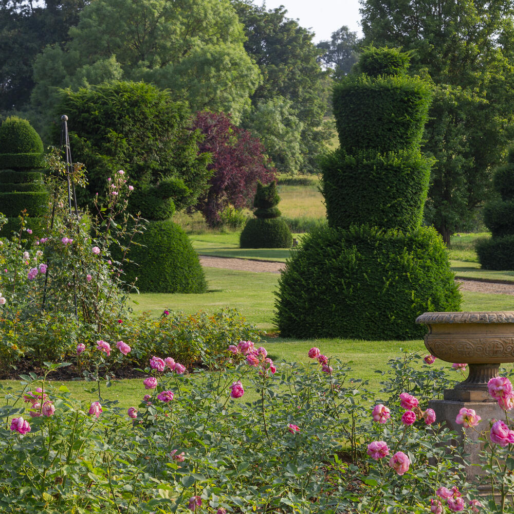 South Gardens Summer