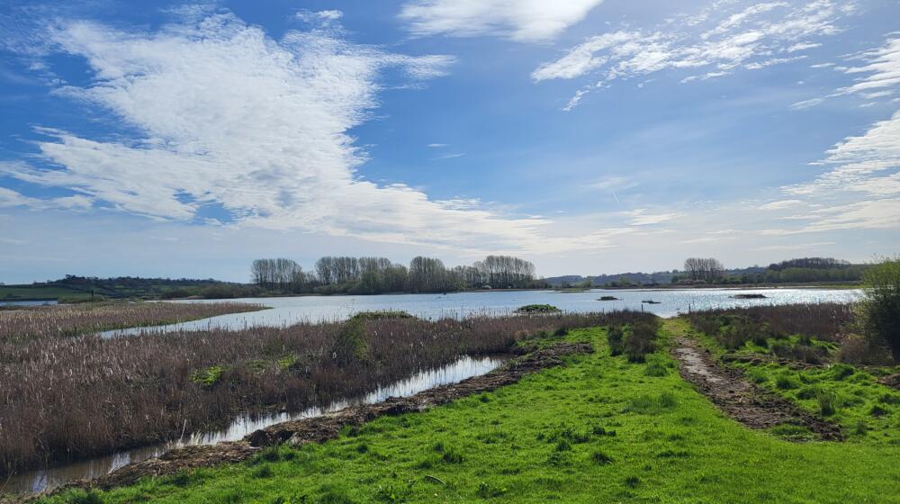 A landscape view of grass in the foreground with water and trees in the background against blue sky at the In Focus optics shop Rutland Water