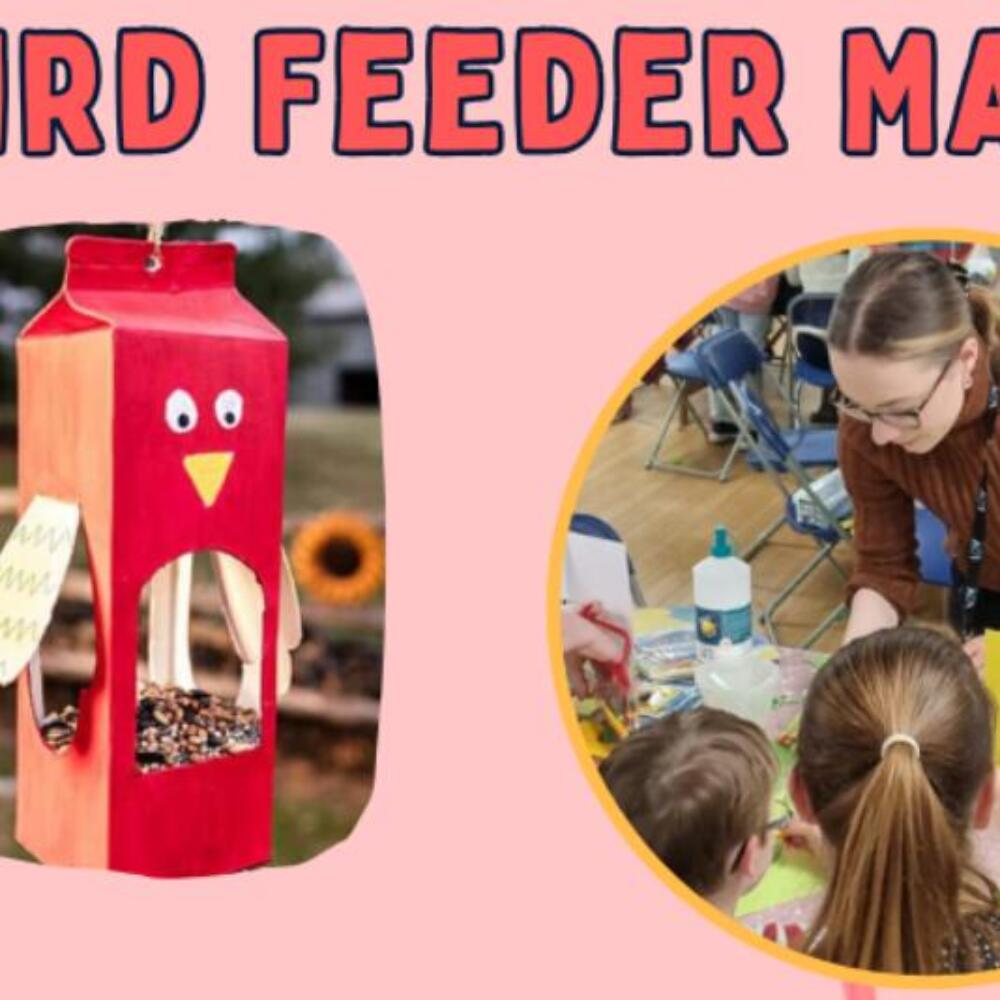 DIY bird feeder DIY bird feeder