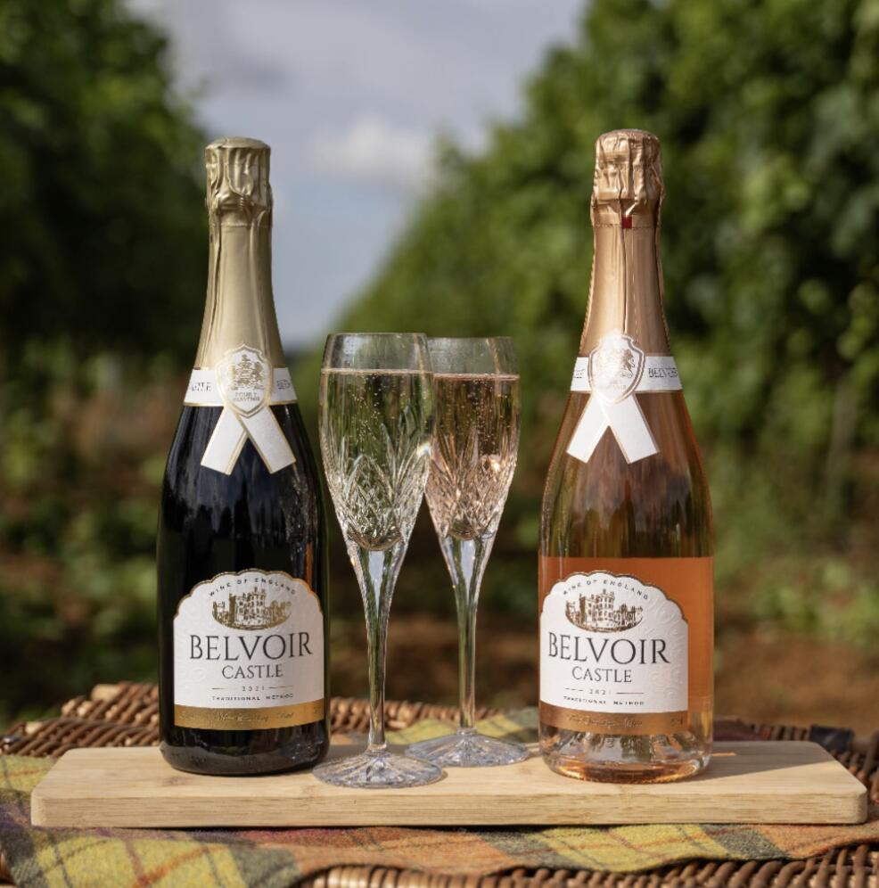 Vineyard Tours & Wine Tasting