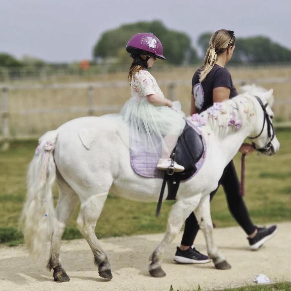 tinkerbell pony rides 1