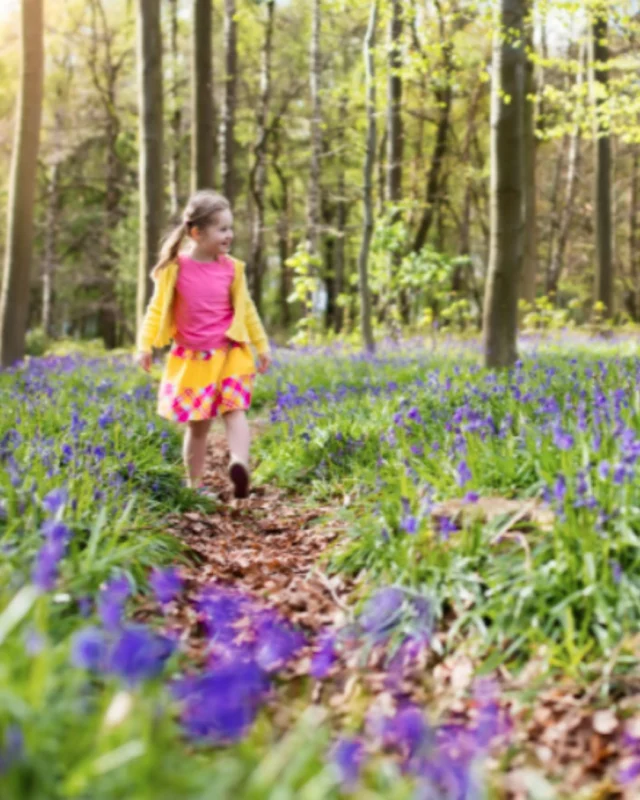 Spring In Rutland Rutland Water - Discover Rutland